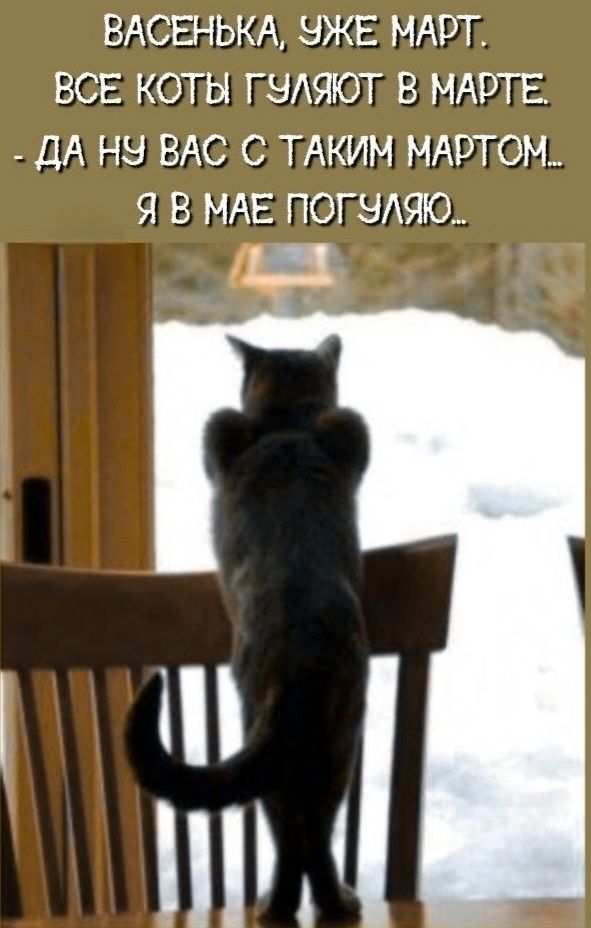 ВАСЕНЬКА, УЖЕ МАРТ. ВСЕ КОТЫ ГУЛЯЮТ В МАРТЕ. - ДА НУ ВАС С ТАКИМ МАРТОМ... Я В МАЕ ПОГУЛЯЮ..