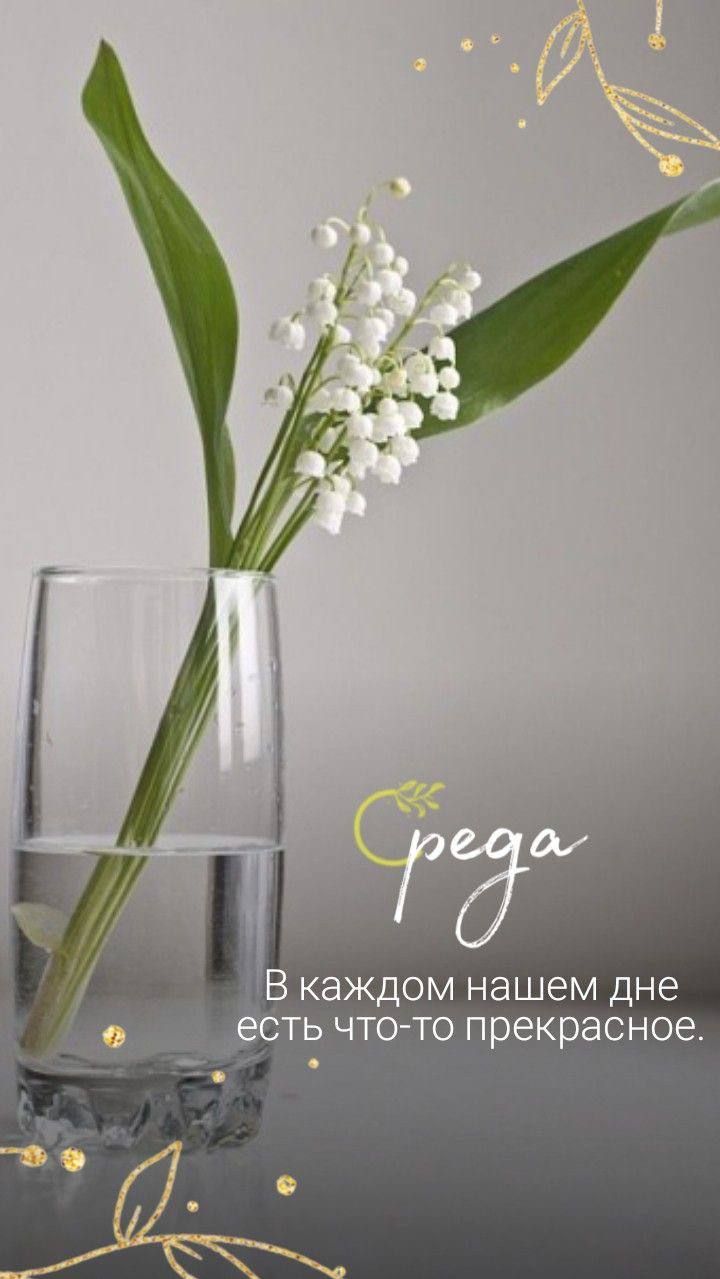 среда В каждом нашем дне есть что-то прекрасное.