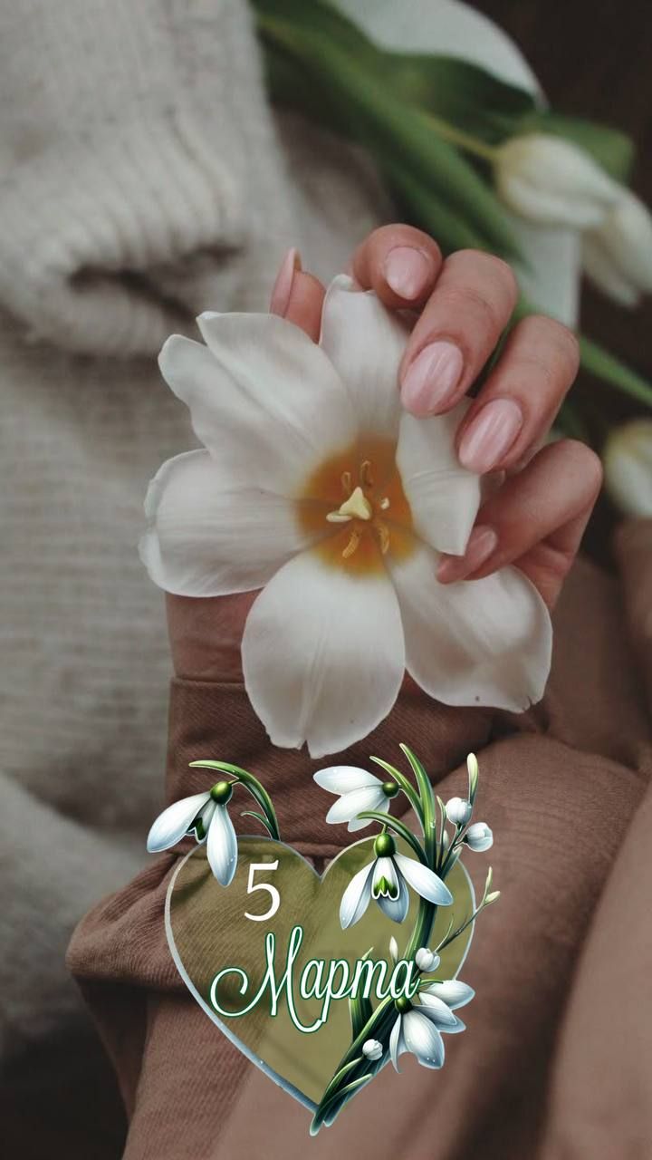 5 Марта