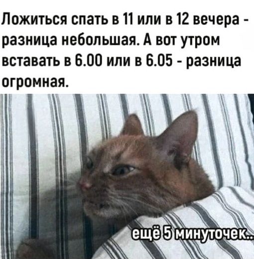 Ложиться спать в 11 или в 12 вечера - разница небольшая. А вот утром вставать в 6.00 или в 6.05 - разница огромная. ещё 5 минуточек...