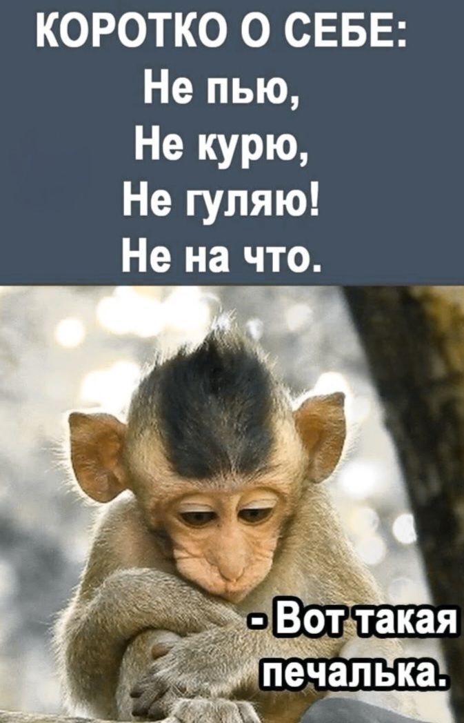 Коротко о себе: Не пью, Не курю, Не гуляю! Не на что. - Вот такая печалька.