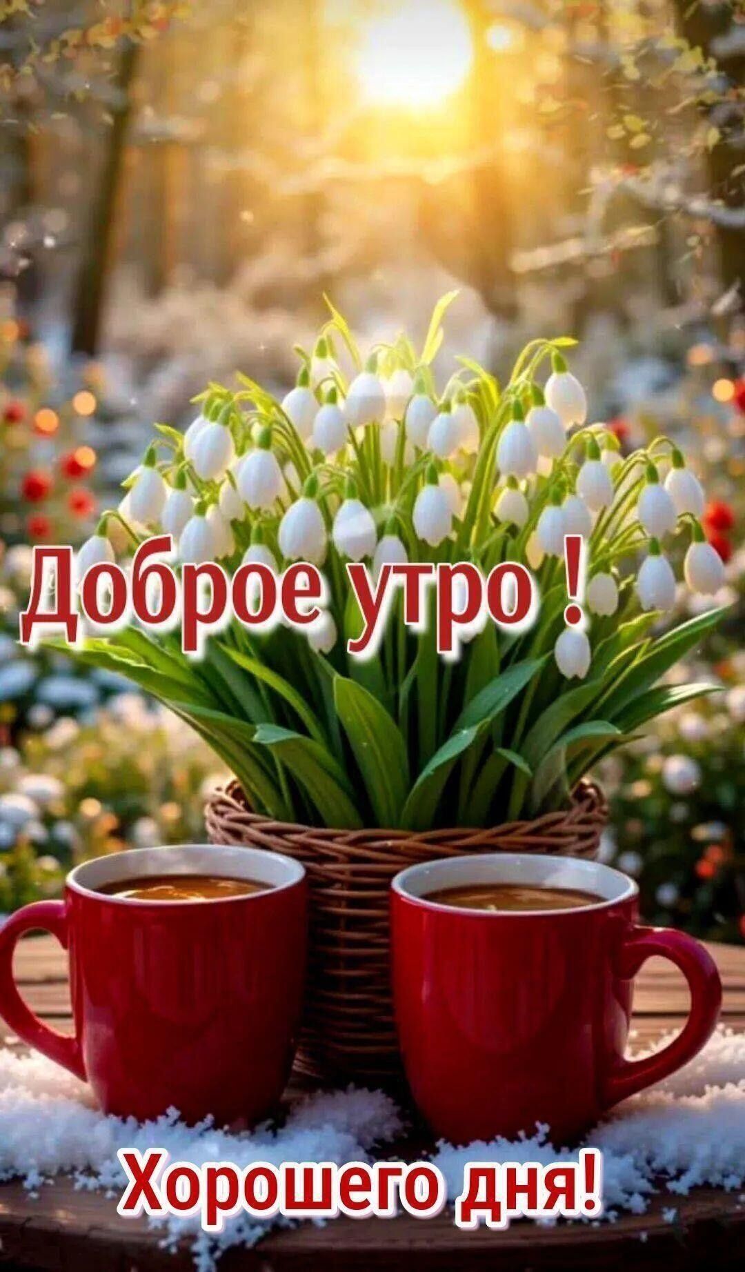 Доброе утро! Хорошего дня!