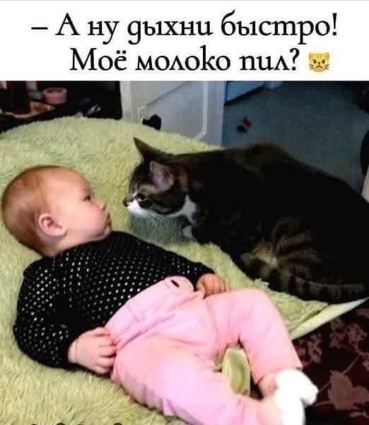 - А ну дыхни быстро! Моё молоко пил?