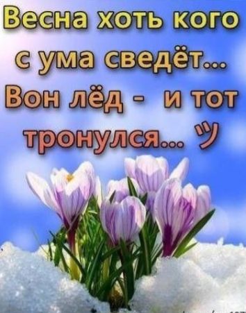 Весна хоть кого с ума сведёт... Вон лёд - и тот тронулся...