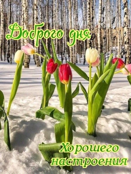 Доброго дня
Хорошего настроения