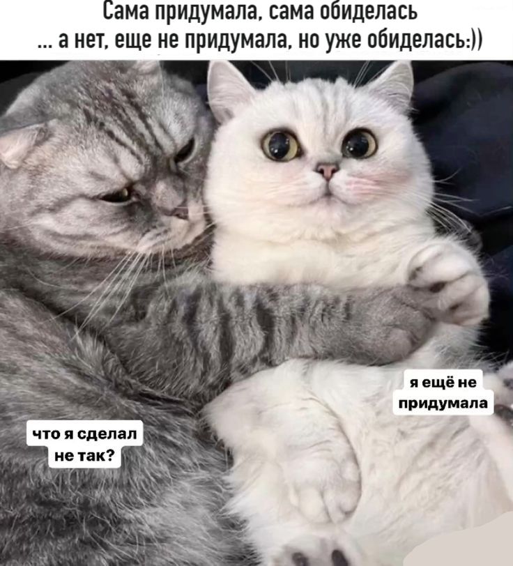 Сама придумала, сама обиделась ... а нет, еще не придумала, но уже обиделась:))
что я сделала не так?
я ещё не придумала