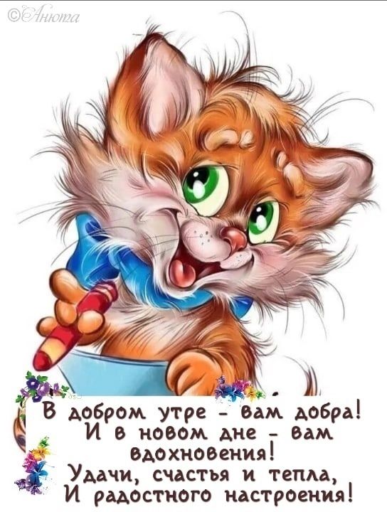 В добром утре - вам добра! И в новом дне - вам вдохновения! Удачи, счастья и тепла, И радостного настроения!
