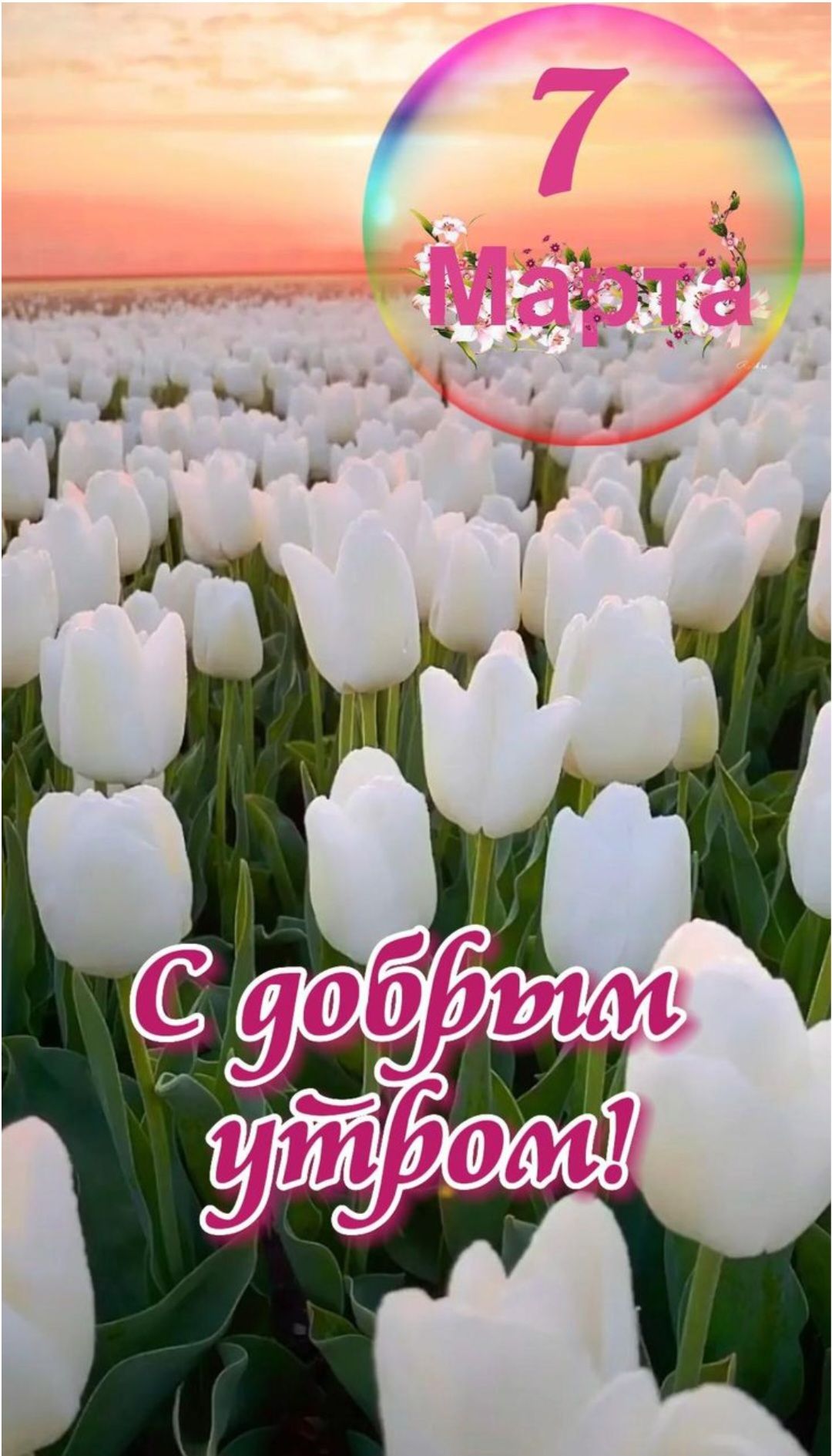 7 Марта
С добрым утром!