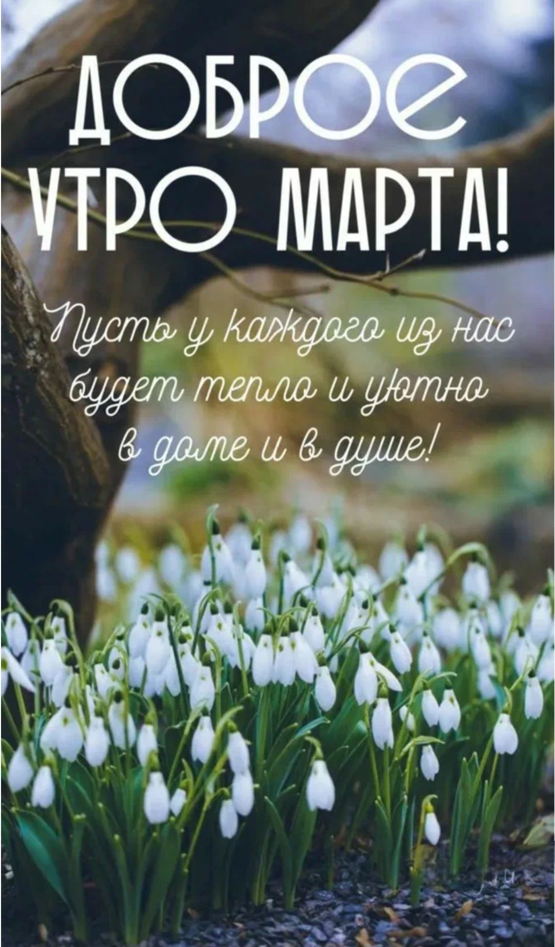 ДОБРОЕ УТРО МАРТА! Пусть у каждого из нас будет тепло и уютно в доме и в душе!