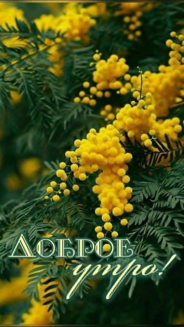 Доброе утро!