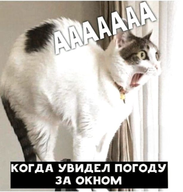 AAAAA
КОГДА УВИДЕЛ ПОГОДУ ЗА ОКНО