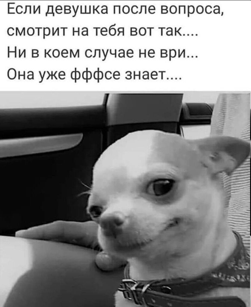 Если девушка после вопроса, смотрит на тебя вот так.... Ни в коем случае не ври... Она уже ффффсе знает....