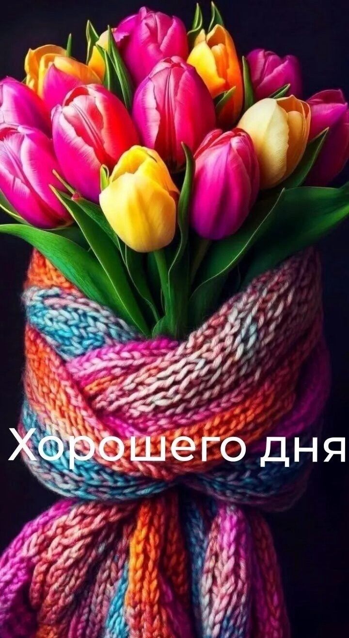 Хорошего дня