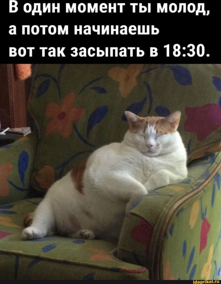 В один момент ты молод, а потом начинаешь вот так засыпать в 18:30.