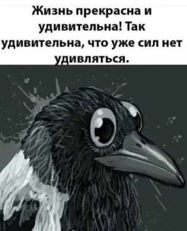 Жизнь прекрасна и удивительна! Так удивительна, что уже сил нет удивляться.