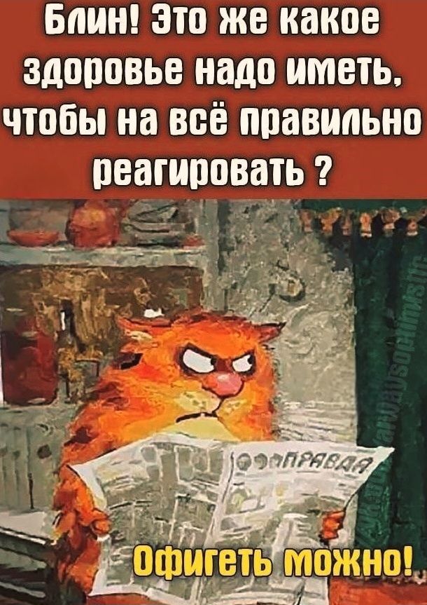 Блин! Это же какое здоровье надо иметь, чтобы на всё правильно реагировать? Офигеть можно!