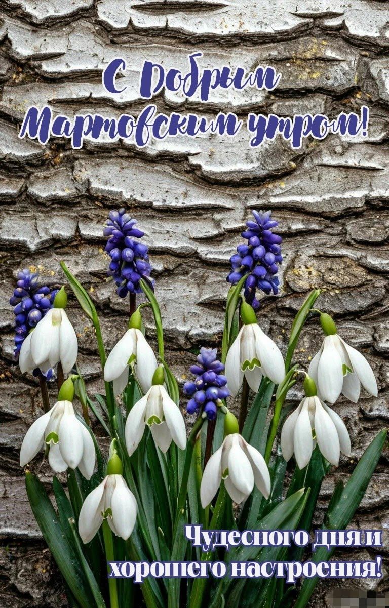 С добрым мартовским утром! Чудесного дня и хорошего настроения!
