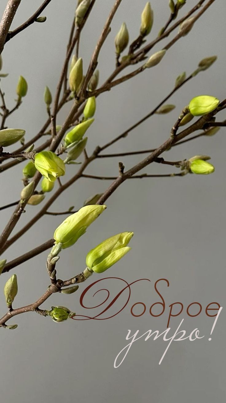 Доброе утро!