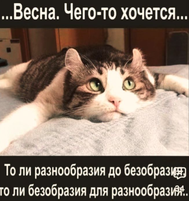 ...Весна. Чего-то хочется... То ли разнообразия до безобразия, то ли безобразия для разнообразия.