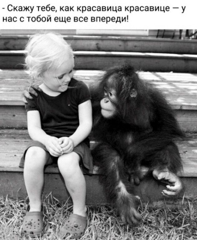 - Скажу тебе, как красавица красавице — у нас с тобой еще все впереди!