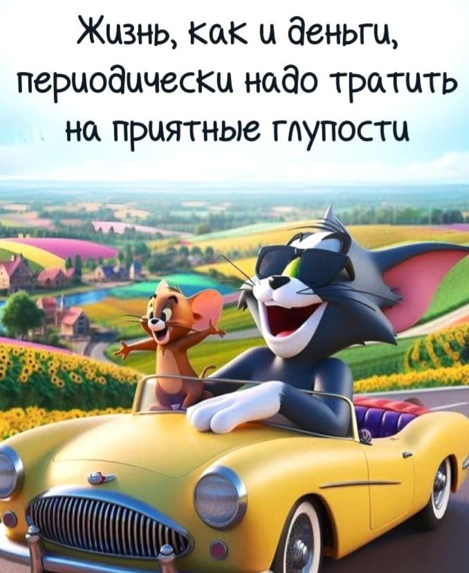 Жизнь, как и деньги, периодически надо тратить на приятные глупости