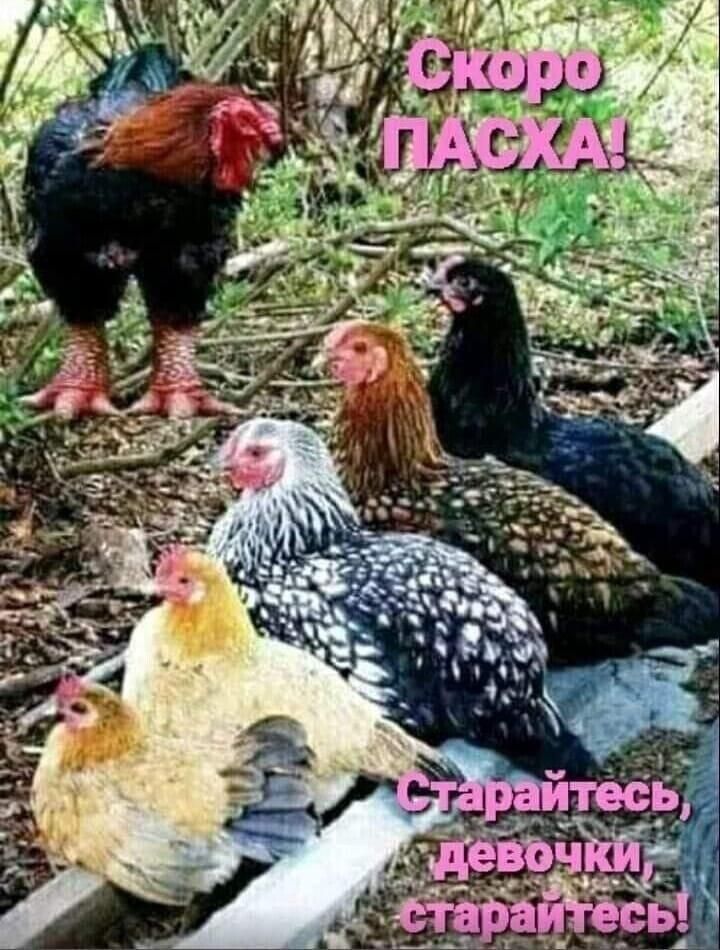 Скоро Пасха! Старайтесь, девочки, старайтесь!