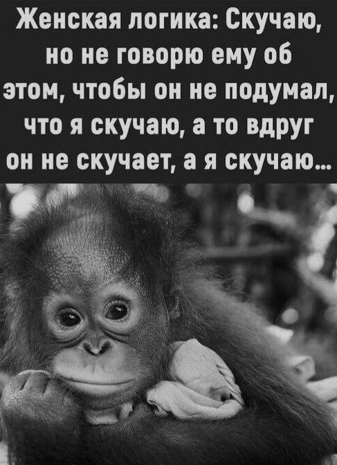 Женская логика: Скучаю, но не говорю ему об этом, чтобы он не подумал, что я скучаю, а то вдруг он не скучает, а я скучаю...