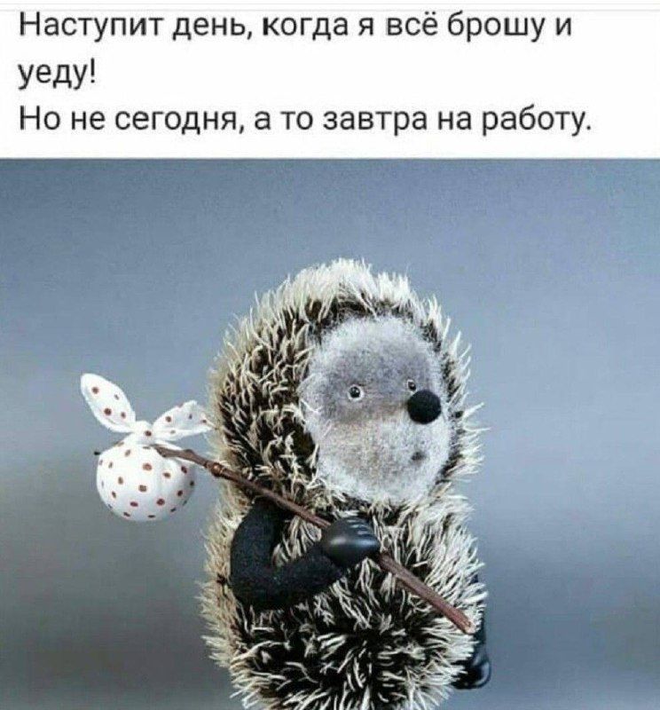 Наступит день, когда я всё брошу и уйду! Но не сегодня, а то завтра на работу.