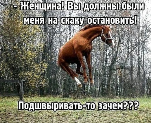 - Женщина! Вы должны были меня на скаку остановить! Подвырывать-то зачем???