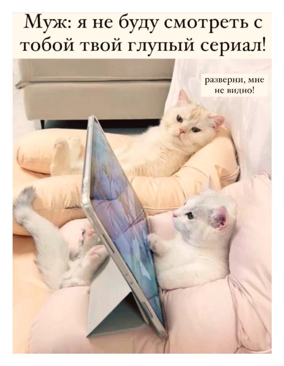 Муж: я не буду смотреть с тобой твой глупый сериал! разверни, мне не видно!