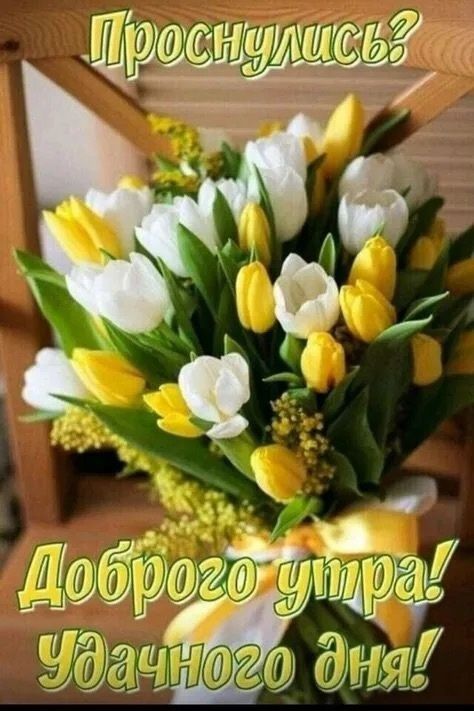 Проснулись? Доброе утро! Удачного дня!