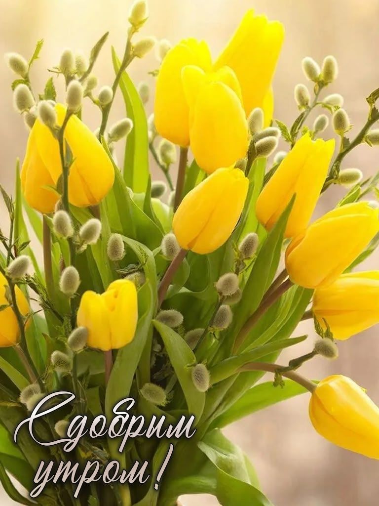 С добрым утром!