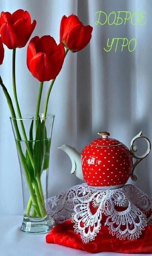 ДОБРОЕ УТРО