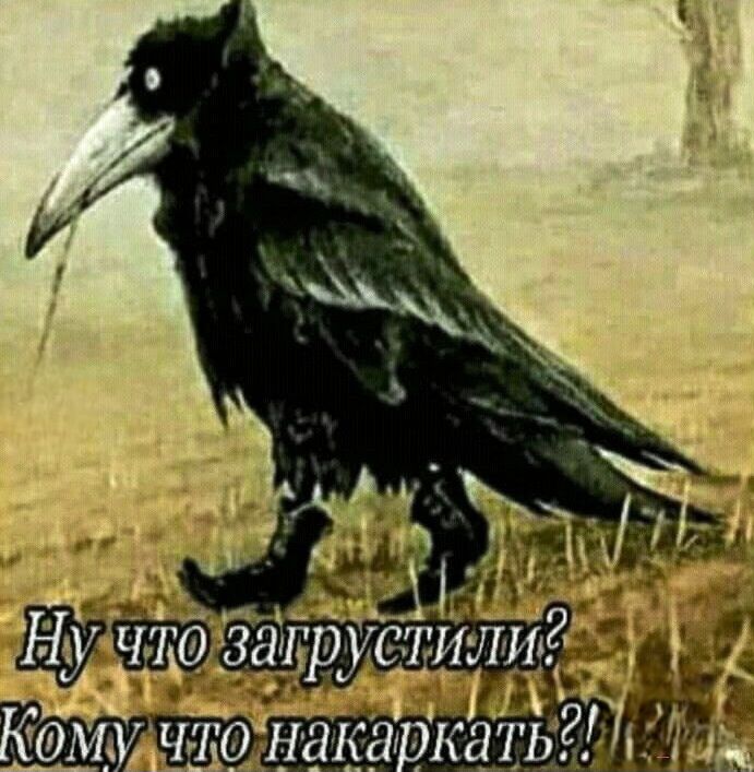 Ну что загрустили? Кому что накаркать?!