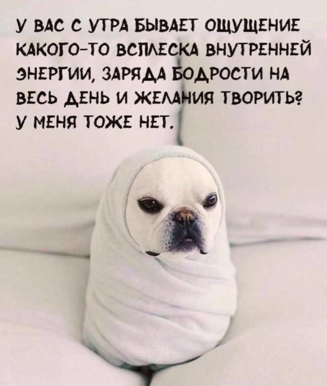 У ВАС С УТРА БЫВАЕТ ОЩУЩЕНИЕ КАКОГО-ТО ВСПЛЕСКА ВНУТРЕННЕЙ ЭНЕРГИИ, ЗАРЯДА БОДРОСТИ НА ВЕСЬ ДЕНЬ И ЖЕЛАНИЯ ТВОРИТЬ? У МЕНЯ ТОЖЕ НЕТ.