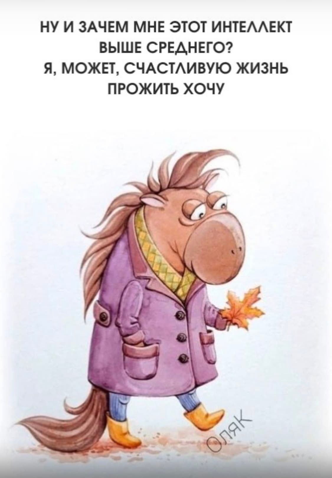 НУ И ЗАЧЕМ МНЕ ЭТОТ ИНТЕЛЛЕКТ ВЫШЕ СРЕДНЕГО? Я, МОЖЕТ, СЧАСТЛИВУЮ ЖИЗНЬ ПРОЖИТЬ ХОЧУ