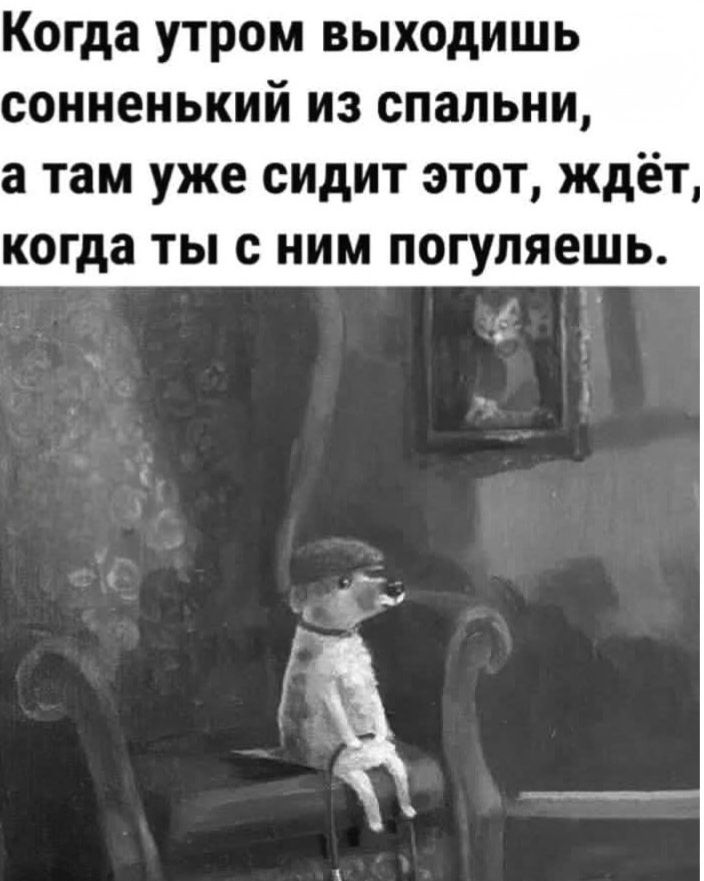 Когда утром выходишь сонненький из спальни, а там уже сидит этот, ждёт, когда ты с ним погуляешь.