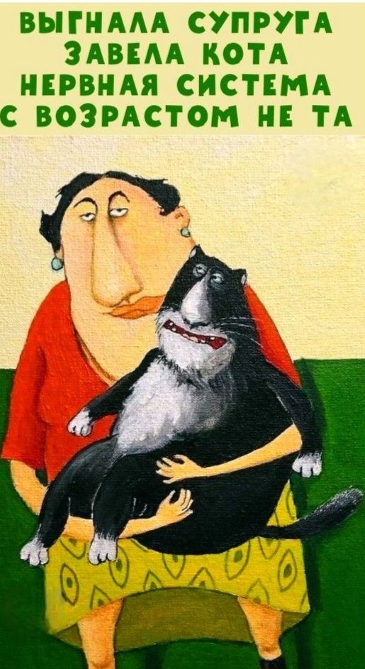 ВЫГНАЛА СУПРУГА ЗАВЕЛА КОТА НЕРВНАЯ СИСТЕМА С ВОЗРАСТОМ НЕ ТА