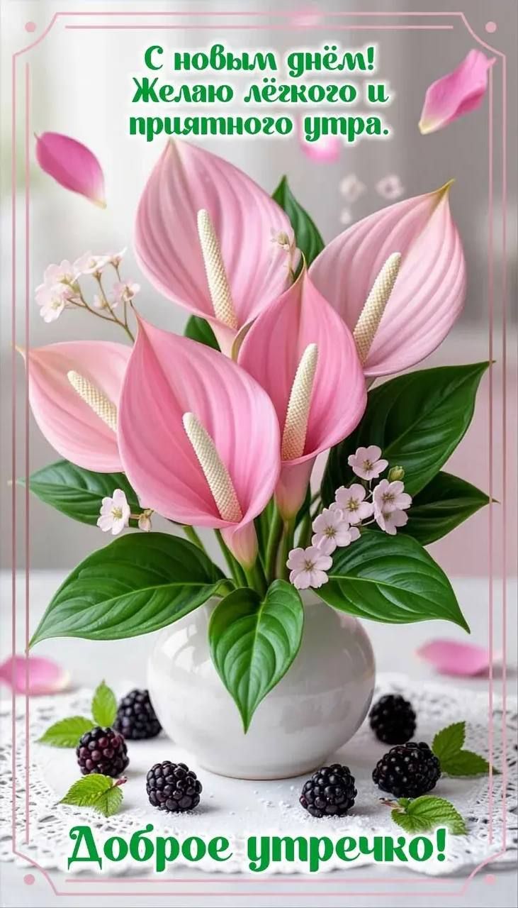 С новым днём! Желаю лёгкого и приятного утра. Доброе утречко!