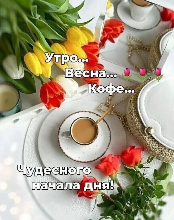 Утро... Весна... Кофе... Чудесного начала дня!