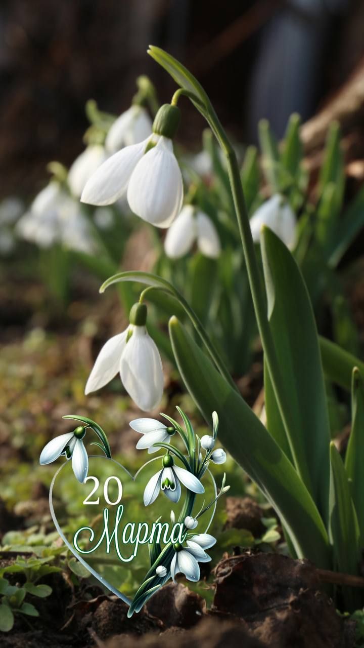20 Марта