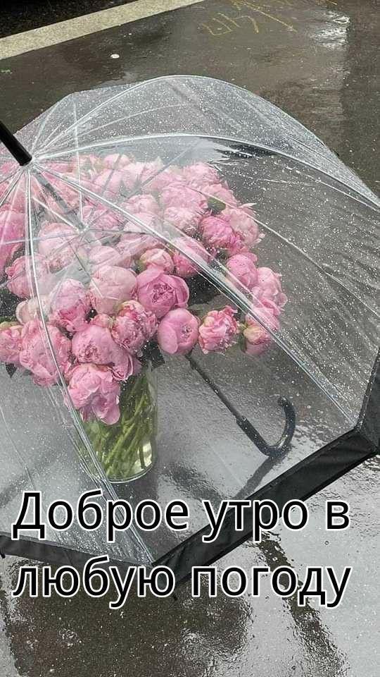 Доброе утро в любую погоду