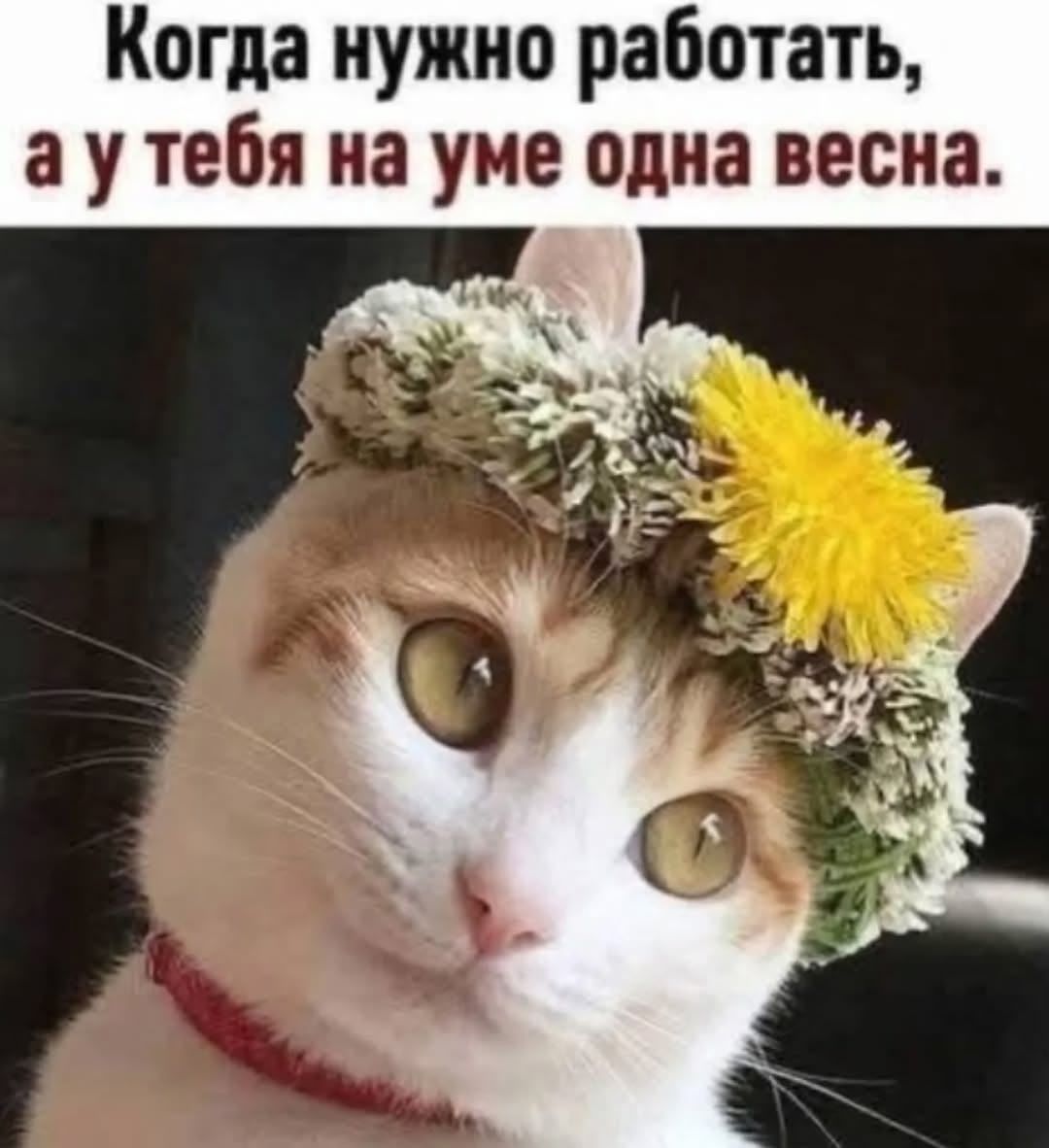 Когда нужно работать, а у тебя на уме одна весна.