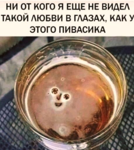 НИ ОТ КОГО Я ЕЩЕ НЕ ВИДЕЛ ТАКОЙ ЛЮБВИ В ГЛАЗАХ, КАК У ЭТОГО ПИВАСИКА