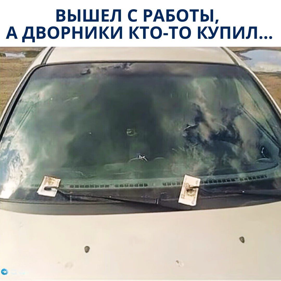 ВЫШЕЛ С РАБОТЫ, А ДВОРНИКИ КТО-ТО КУПИЛ...