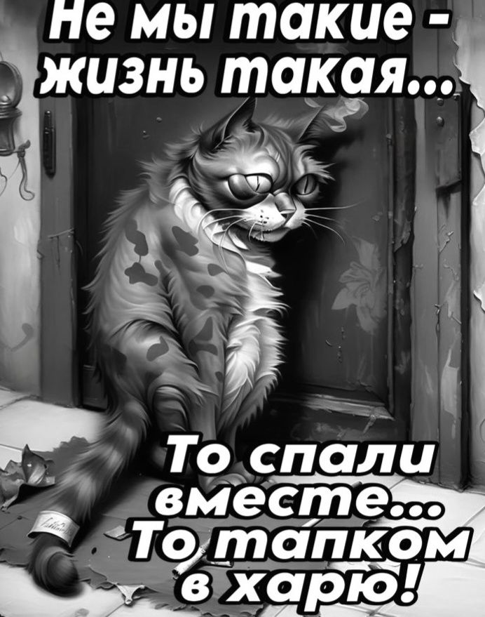 Не мы такие - жизнь такая... То спали вместе... То тапком в харю!