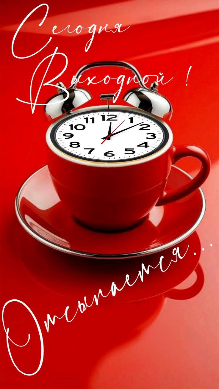 Сегодня Выходной! Отсыпаемся.