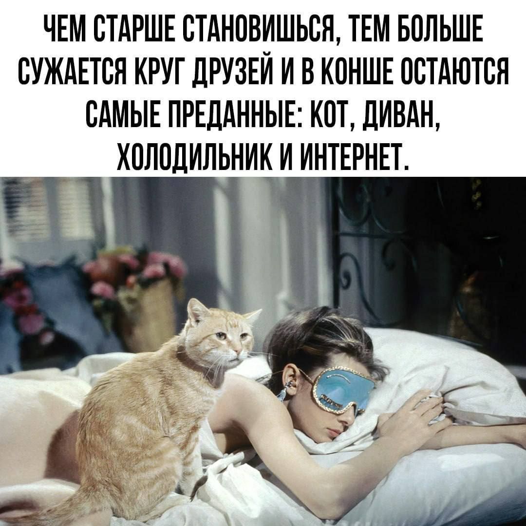 ЧЕМ СТАРШЕ СТАНОВИШЬСЯ, ТЕМ БОЛЬШЕ СУЖАЕТСЯ КРУГ ДРУЗЕЙ И В КОНЦЕ ОСТАЮТСЯ САМЫЕ ПРЕДАННЫЕ: КОТ, ДИВАН, ХОЛОДИЛЬНИК И ИНТЕРНЕТ.