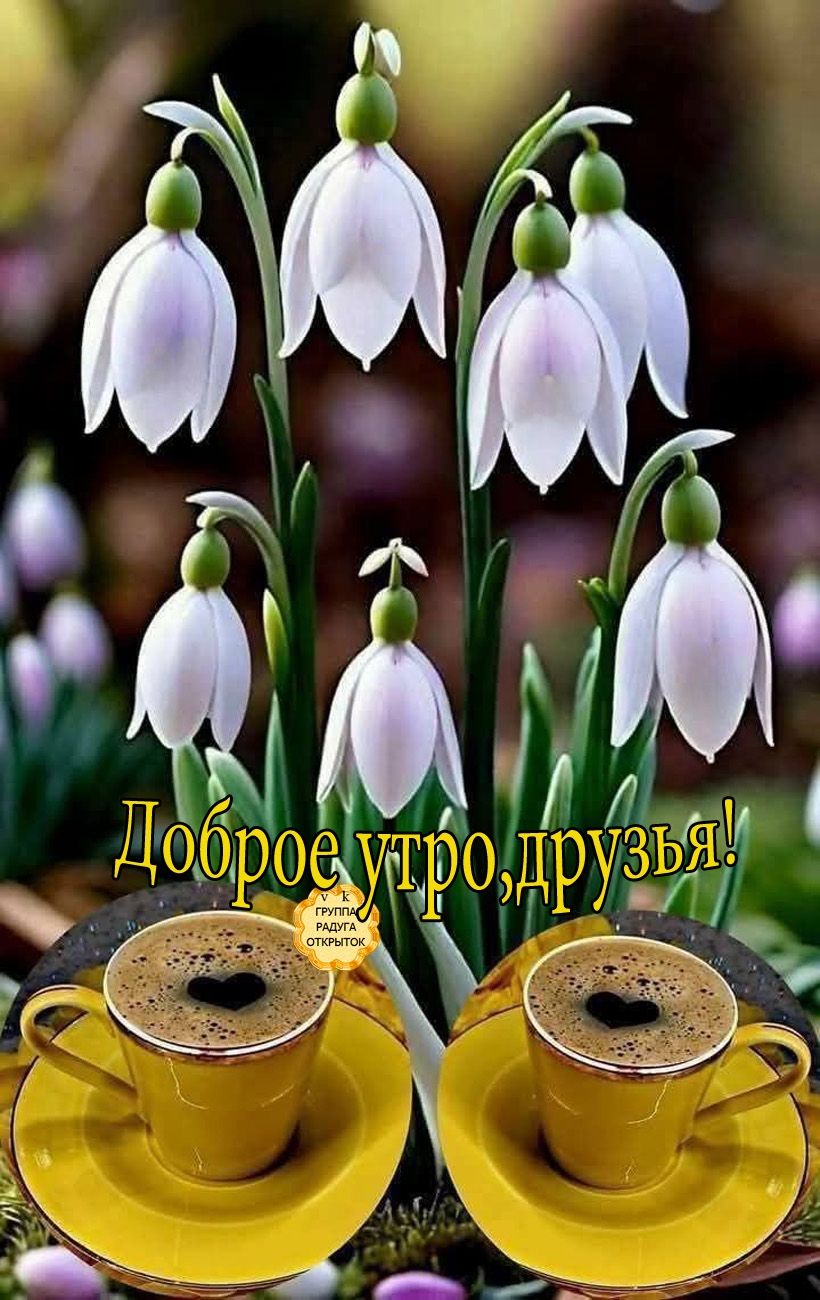 Доброе утро, друзья! VK ГРУППА РАДУГА ОТКРЫТОК