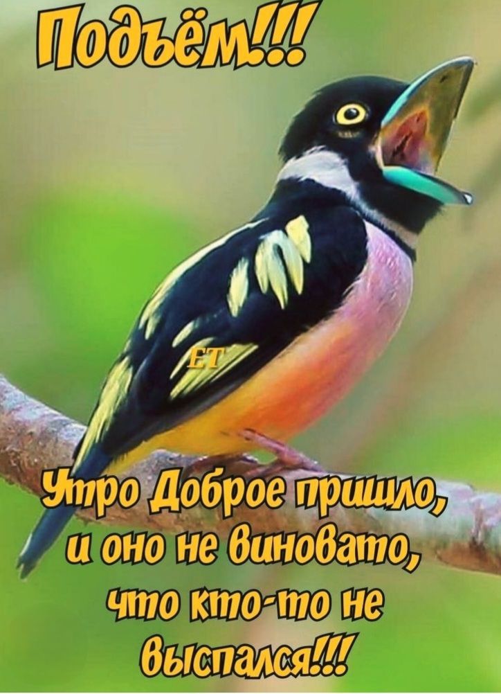 Подъём!!! Утро Доброе пришло, и оно не виновато, что кто-то не выспался!!!